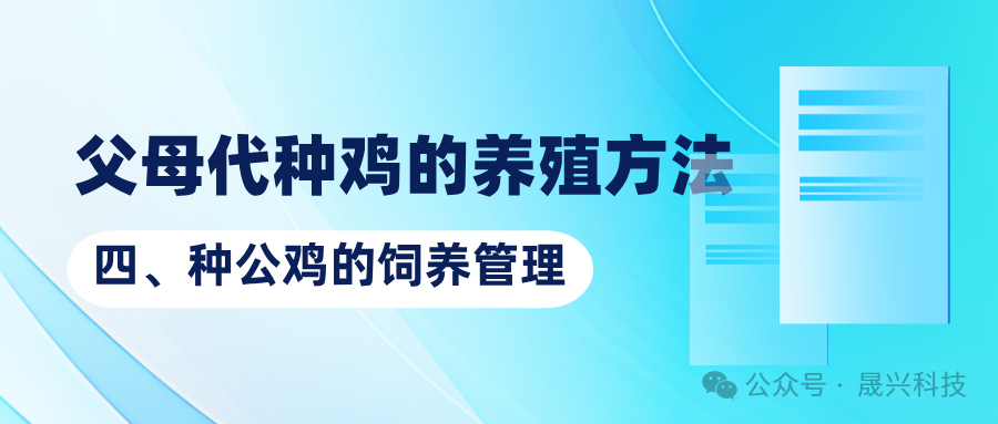 豸