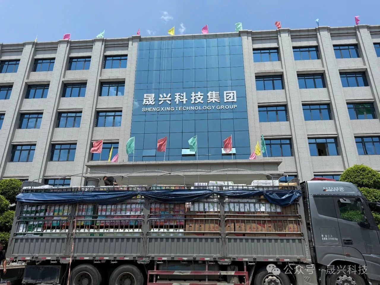 豸